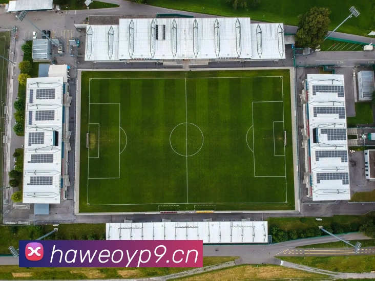 开云官方登陆入口发展历程